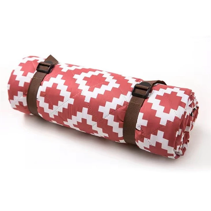 picnic blanket disneyland