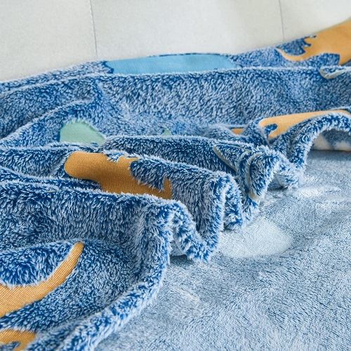 Flannel Luminous Blanket