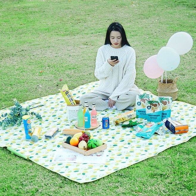 roll up picnic blanket