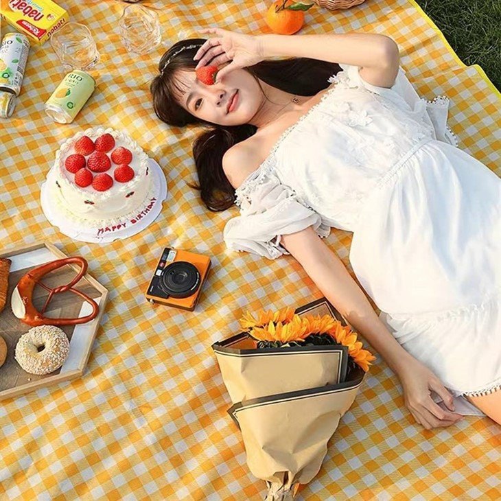 picnic blanket design