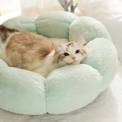 Bantal Hangat untuk Hewan Peliharaan